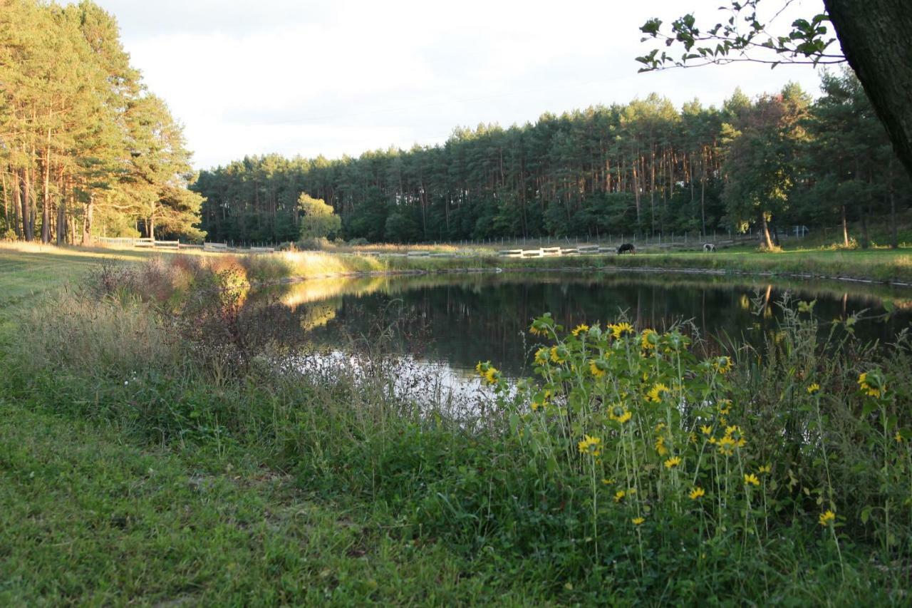 Quatro Osrodek Jezdziecki - Gospodarstwo Agroturystyczne Победзиска Экстерьер фото